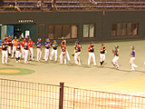 四国・九州アイランドリーグ