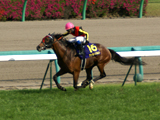 スポーツ全般／ノンジャンル