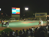 スポーツ全般／ノンジャンル
