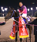 スポーツ全般／ノンジャンル