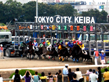 スポーツ全般／ノンジャンル