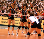 スポーツ全般／ノンジャンル