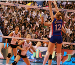 スポーツ全般／ノンジャンル