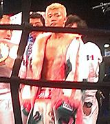 杉浦大介「NY摩天楼通信」