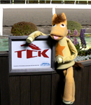 13日に大井記念（Ｓ?）、14日に東京プリンセス賞（Ｓ?）が開催！　〜大井競馬場　トゥインクルレース〜