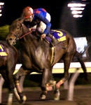 ３日に東京ダービー（Ｓ?）が開催！　〜大井競馬場　トゥインクルレース〜