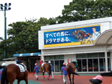 26日にアフター５スター賞（Ｓ?）が開催！　〜大井競馬場　トゥインクルレース〜