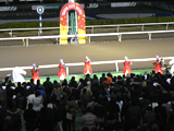 30日に東京盃（Jpn?）、１日に東京記念（Ｓ?）が開催！　〜大井競馬場　トゥインクルレース〜