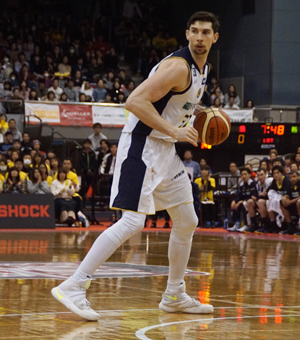 ロシター加工済み