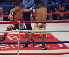 井上、５度目の防衛に成功　八重樫はTKO負け　～ボクシング世界戦