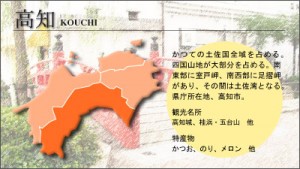 shikoku_kouchi[1]